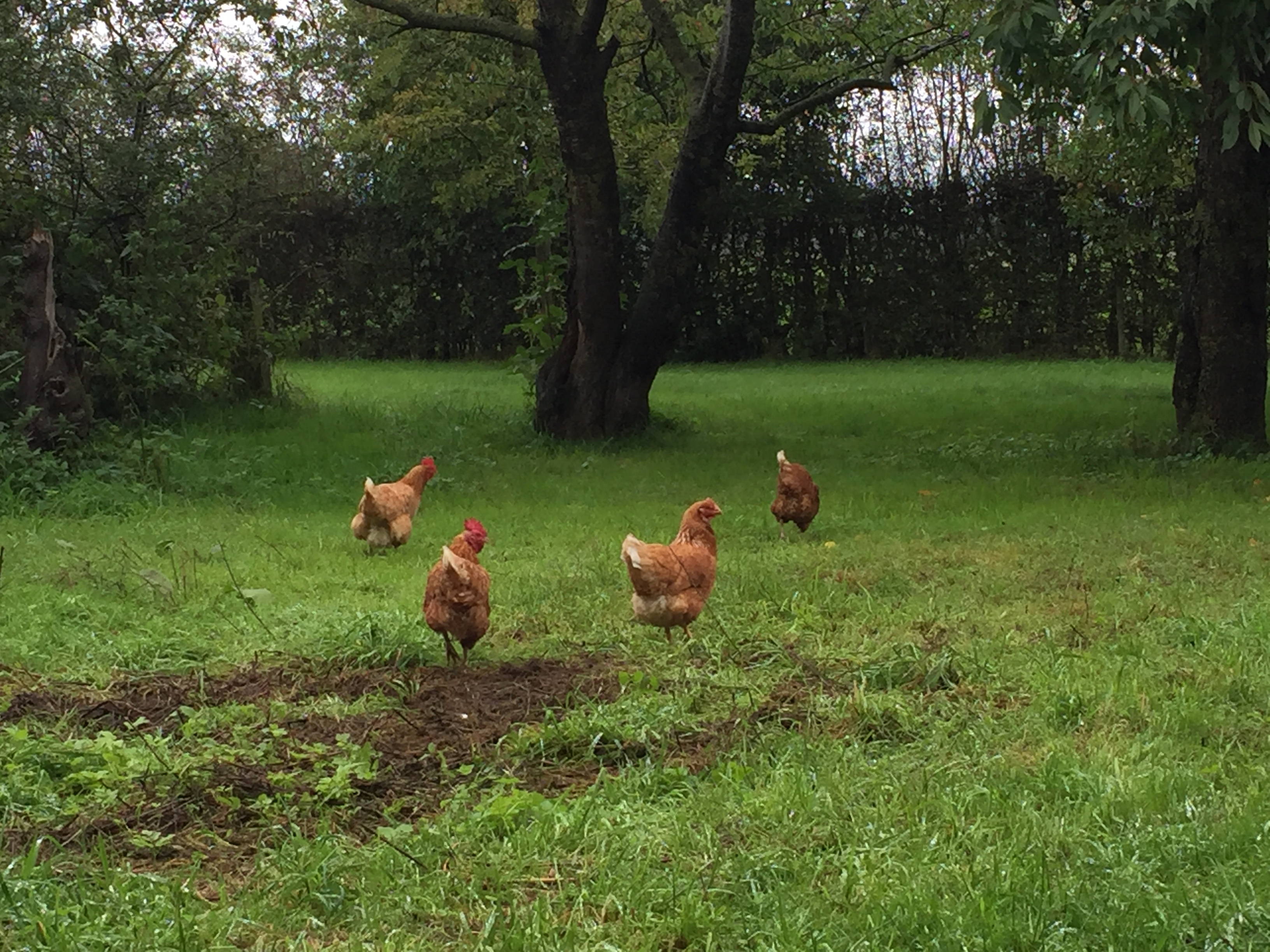 Let us get started on a clean slate