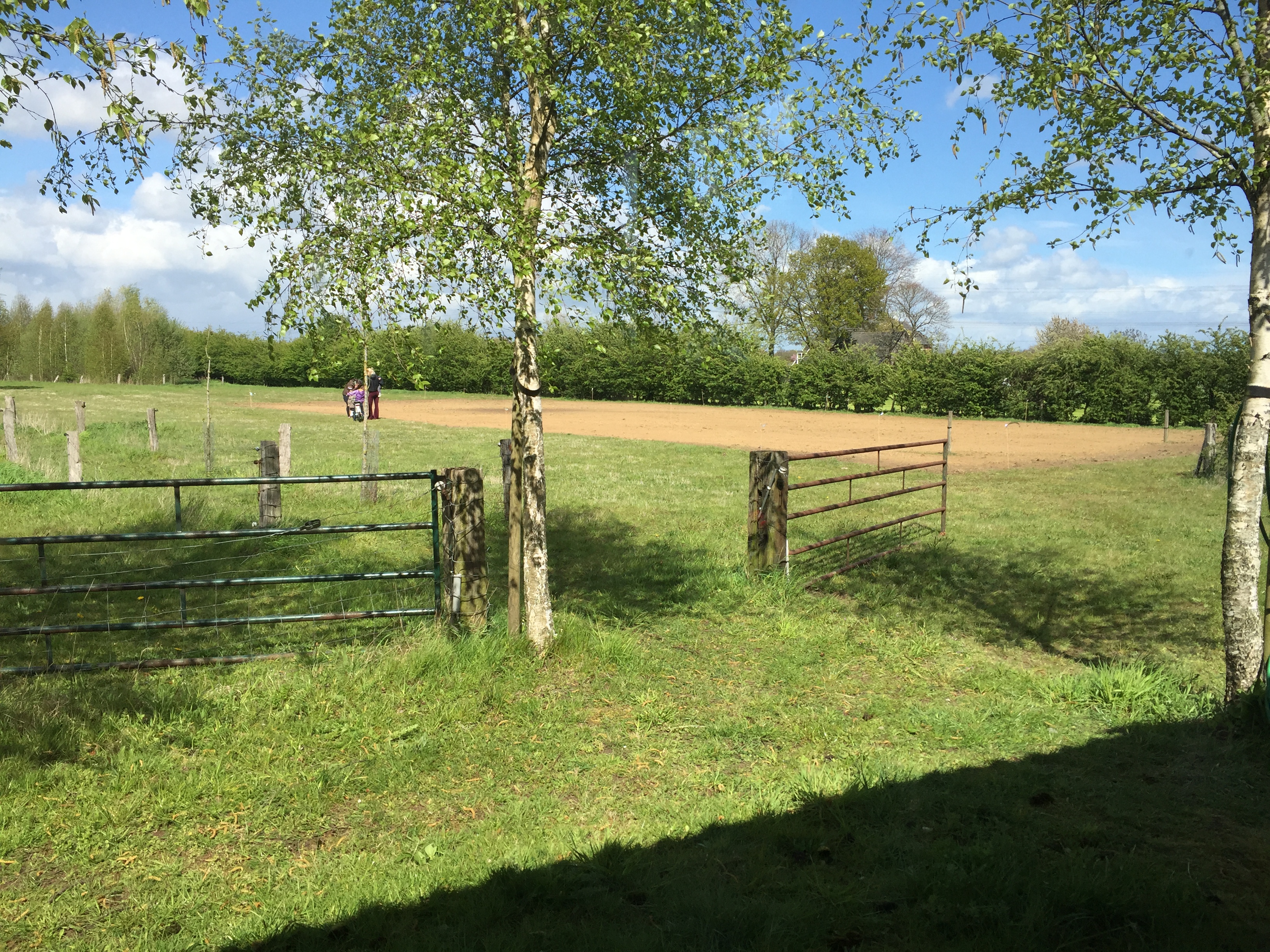 Let us get started on a clean slate